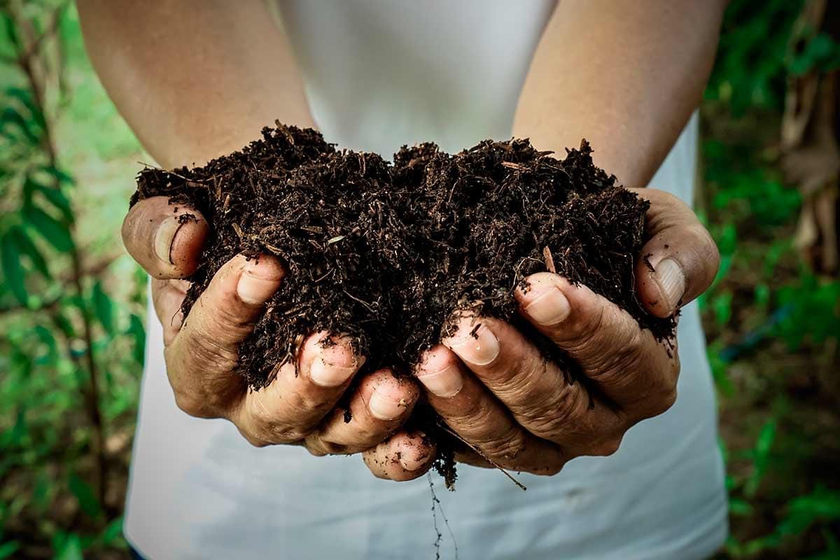 **Fulvic Acid: A Blessing from the Earth. Its Benefits, Safety, and How to Take It**
