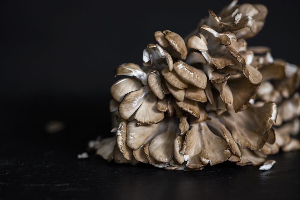 Not only does it boost your immunity, but β-glucan is also known for a variety of other health benefits.