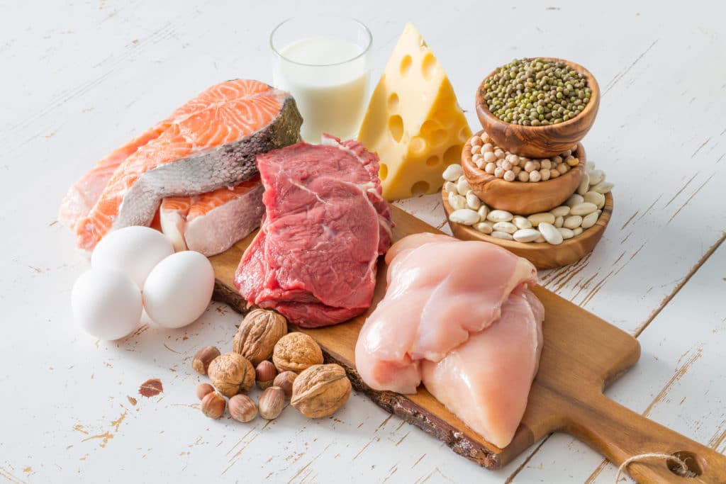 Protein Fasting to Activate Autophagy. Is It Realistic?