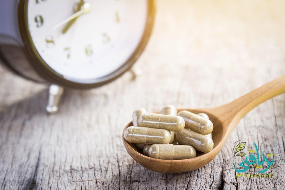 A Guide to Supplement Timing: How It Varies by Type