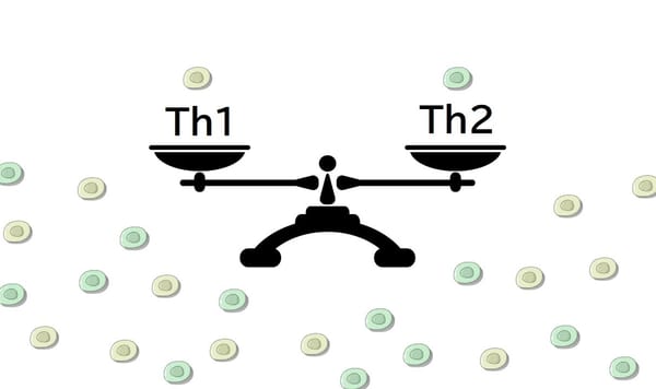 アレルギー体質もこれで改善？Th1細胞とTh2細胞の細胞バランスとは？
