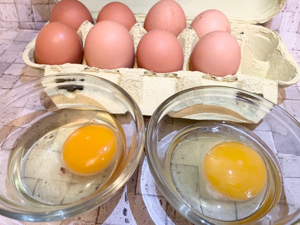 食事を重視する歯科医が伝授！私がたまごを選ぶ際の重要なポイント