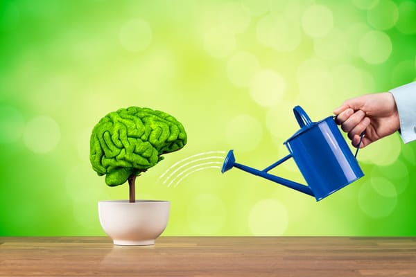 オートファジーの活性化によるアンチエイジング効果が期待できるスペルミジンって何？